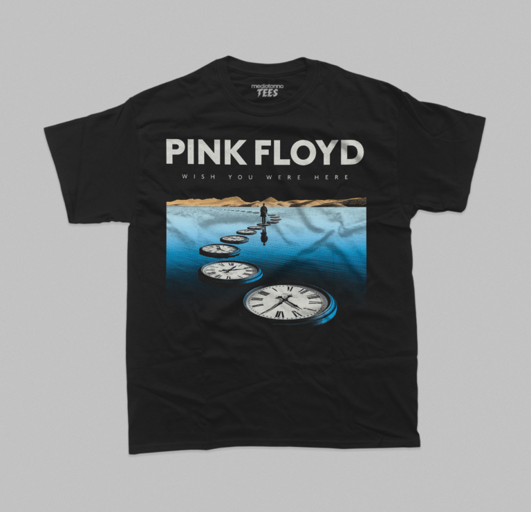 Remera - PINK FLOYD - Wish You Where Here - Imagen 2