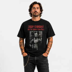 Remera - Bowie - Ziggy Stardust and the Spiders From Mars